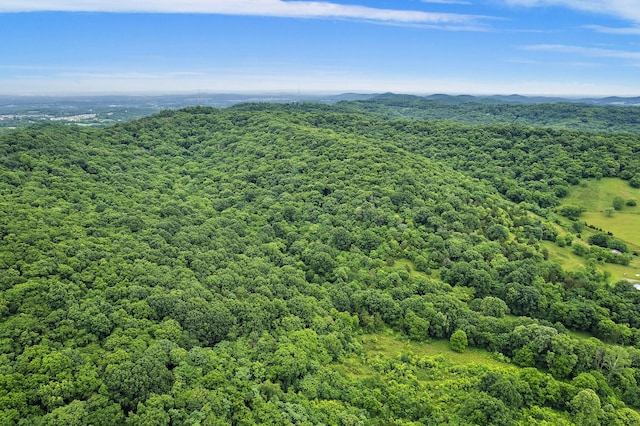 1780 Molly Hollow Rd, Nolensville, TN 37135 - bird's eye view