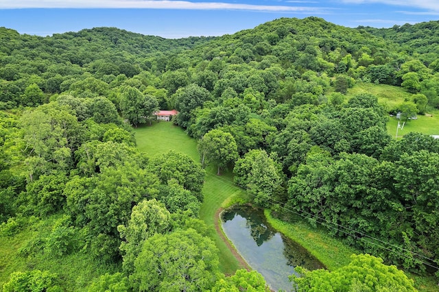 1780 Molly Hollow Rd, Nolensville, TN 37135 - drone / aerial view with a water view