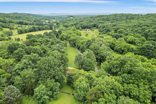 1780 Molly Hollow Rd, Nolensville, TN 37135 - birds eye view of property