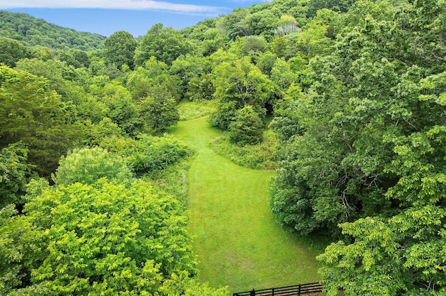 1780 Molly Hollow Rd, Nolensville, TN 37135 - birds eye view of property