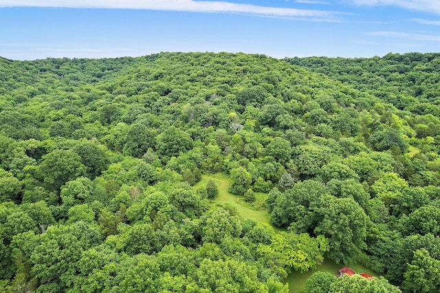 1780 Molly Hollow Rd, Nolensville, TN 37135 - drone / aerial view