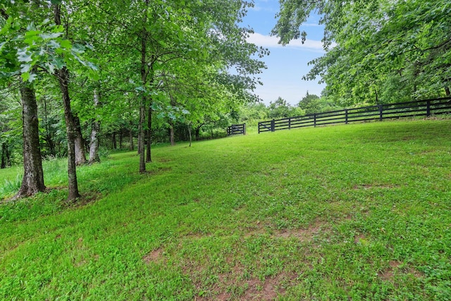 1780 Molly Hollow Rd, Nolensville, TN 37135 - view of yard