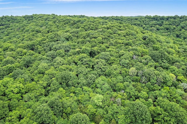 1780 Molly Hollow Rd, Nolensville, TN 37135 - bird's eye view