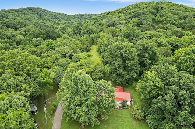 1780 Molly Hollow Rd, Nolensville, TN 37135 - aerial view