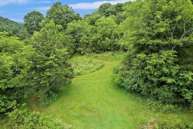 1780 Molly Hollow Rd, Nolensville, TN 37135 - view of nature