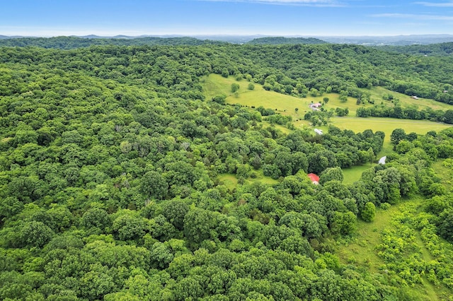 1780 Molly Hollow Rd, Nolensville, TN 37135 - bird's eye view