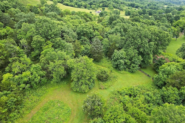 1780 Molly Hollow Rd, Nolensville, TN 37135 - bird's eye view