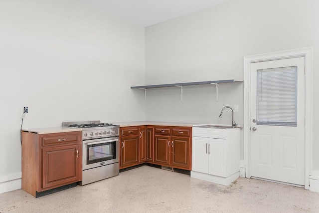 kitchen with high end stainless steel range oven and sink