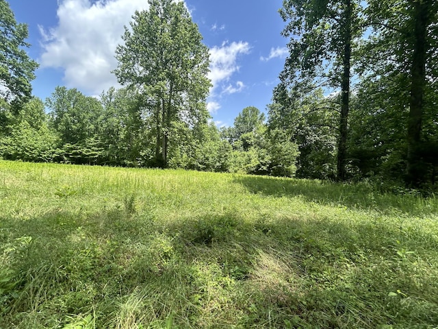 Listing photo 3 for 0 Dry Prong Rd, Mulberry TN 37359