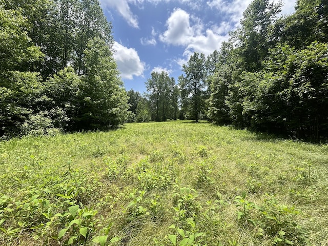 0 Dry Prong Rd, Mulberry TN, 37359 land for sale