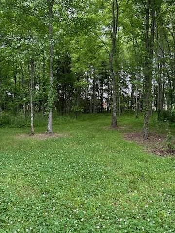 4850 Hyde Rd, Springfield, TN 37172 - photo 6
