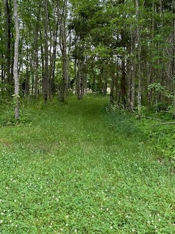 4850 Hyde Rd, Springfield, TN 37172 - photo 7