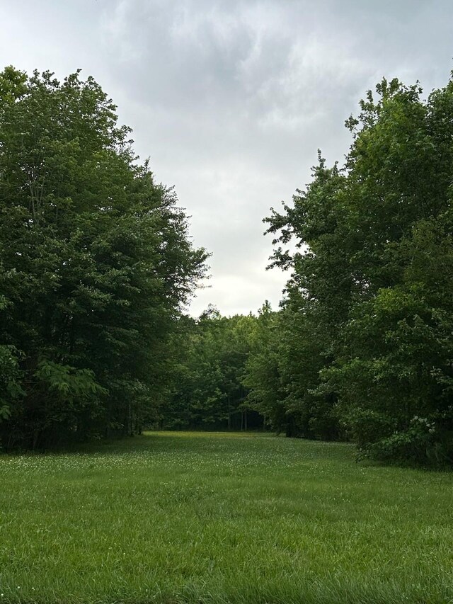 4850 Hyde Rd, Springfield, TN 37172 - photo 3