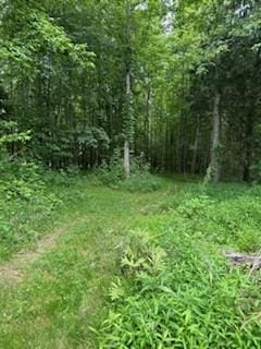 4850 Hyde Rd, Springfield, TN 37172 - photo 4