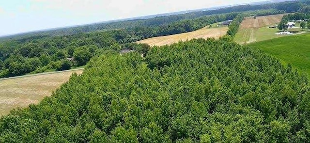 4850 Hyde Rd, Springfield, TN 37172 - photo 2