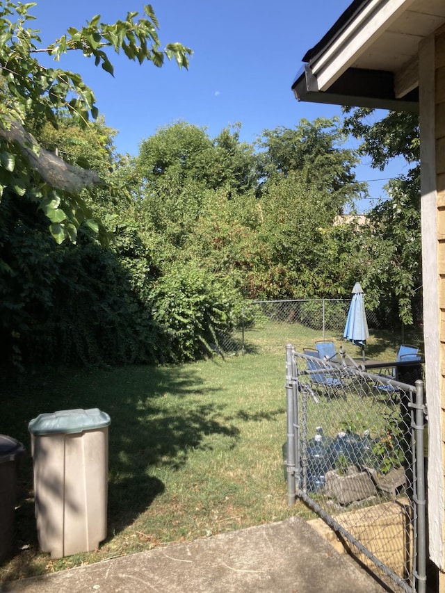 view of yard featuring fence and a gate