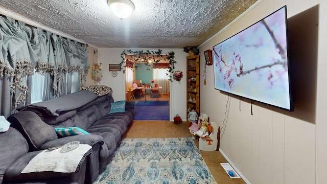 carpeted living room with a textured ceiling