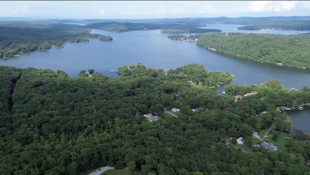 137 Randall Fugate Rd, Spring City, TN 37381