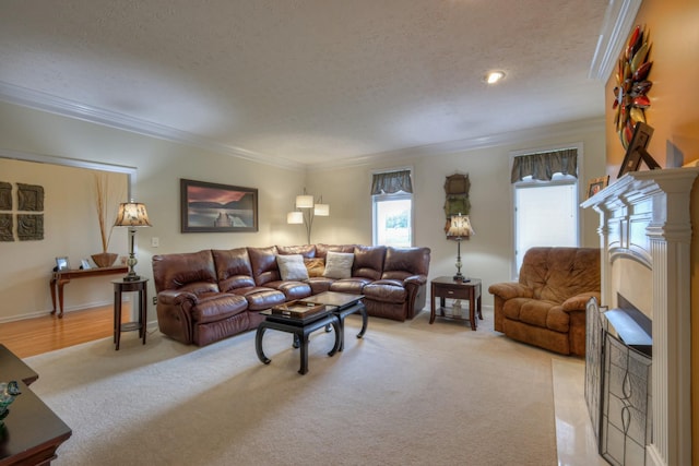 living room with a textured ceiling, ornamental molding, and light carpet