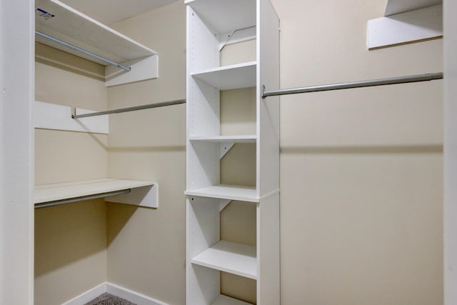 walk in closet featuring carpet floors