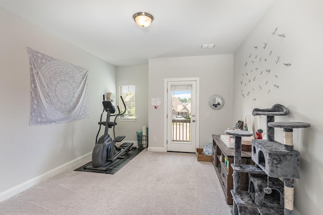 exercise room featuring light colored carpet