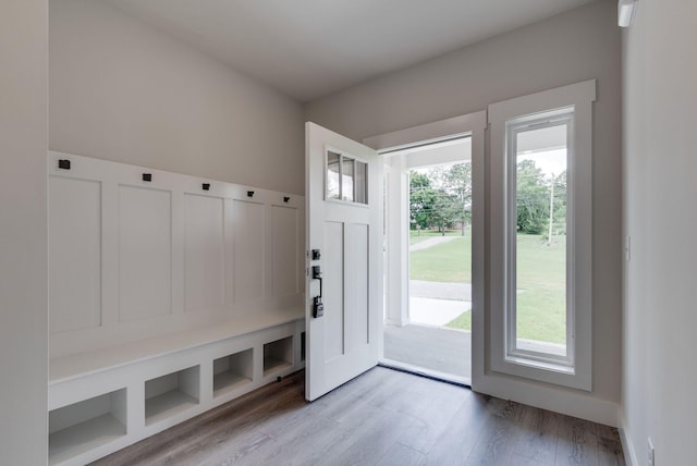 mudroom with light wood-type flooring and plenty of natural light