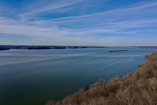 100 Sunset Rdg, Waverly, TN 37185 - photo 5