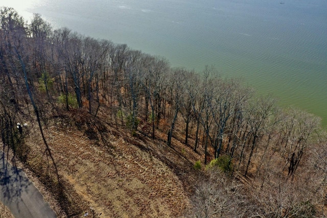 100 Sunset Rdg, Waverly, TN 37185 - photo 2