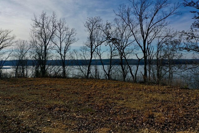 100 Sunset Rdg, Waverly, TN 37185 - photo 12
