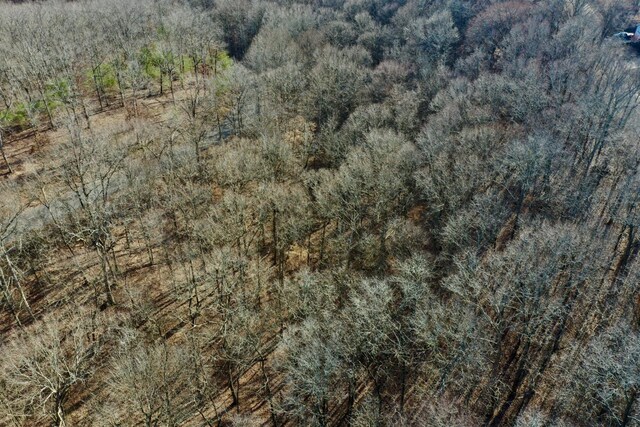 100 Sunset Rdg, Waverly, TN 37185 - photo 6