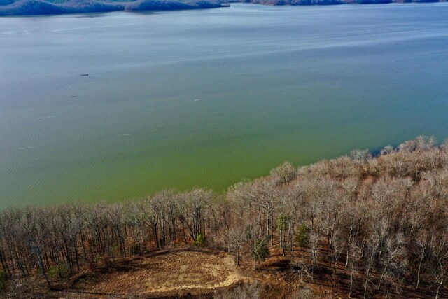 100 Sunset Rdg, Waverly, TN 37185 - photo 11