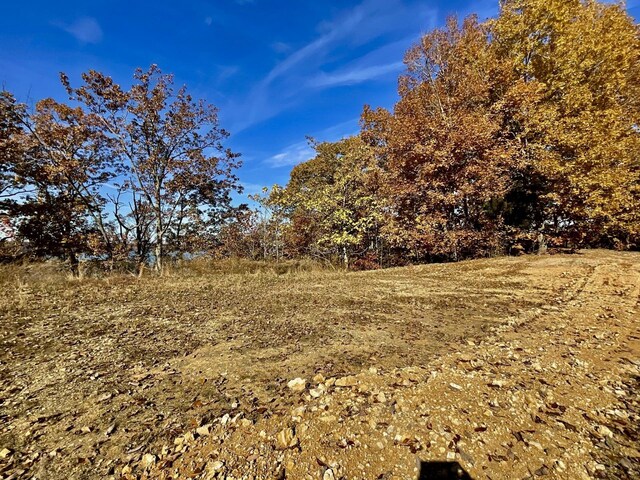 100 Sunset Rdg, Waverly, TN 37185 - photo 3