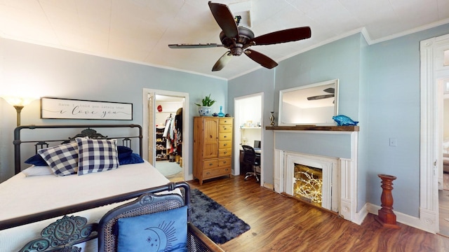 bedroom featuring ornamental molding, ceiling fan, dark wood-type flooring, a spacious closet, and a closet