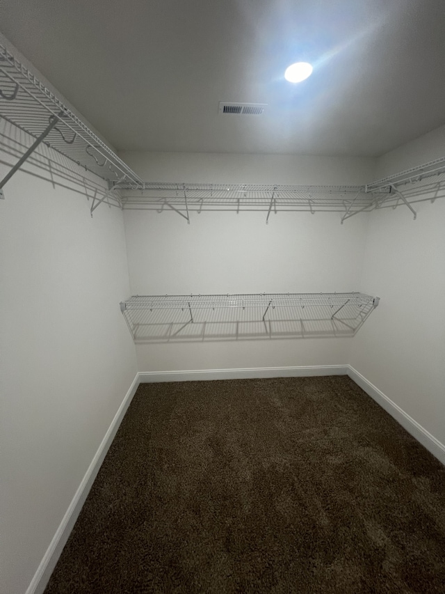 walk in closet featuring carpet flooring