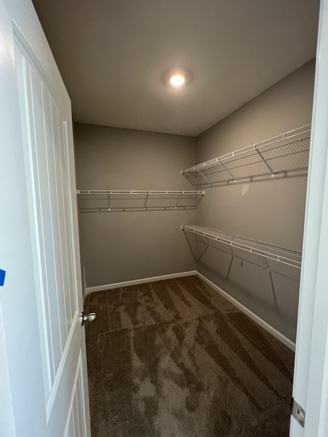 walk in closet with dark colored carpet