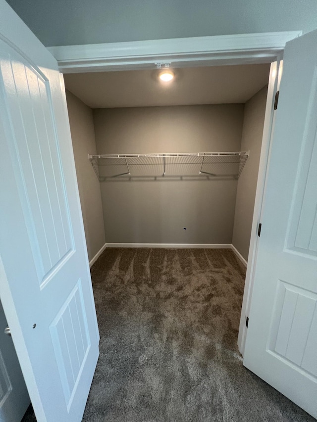 walk in closet featuring dark colored carpet