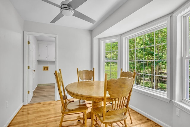 dining room featuring light hardwood / wood-style floors and ceiling fan