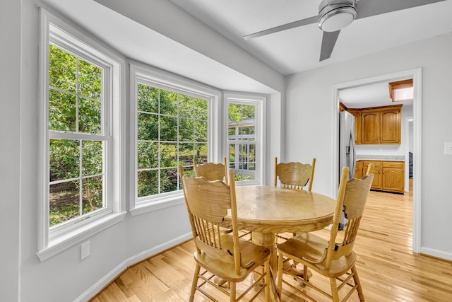 dining room featuring ceiling fan, plenty of natural light, and light hardwood / wood-style floors