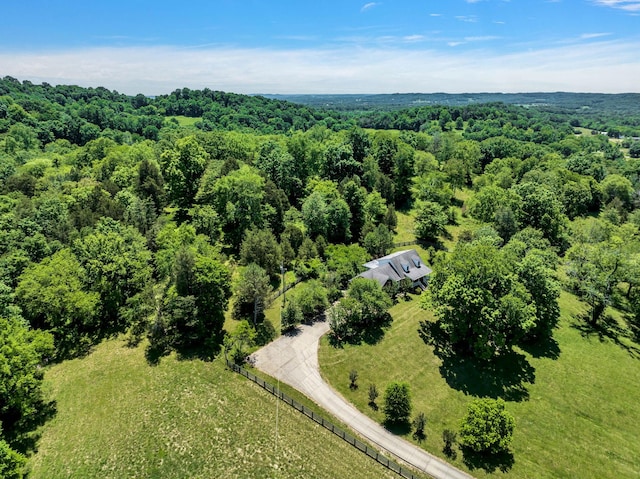 bird's eye view