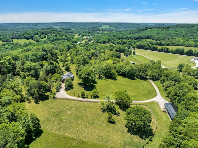 aerial view