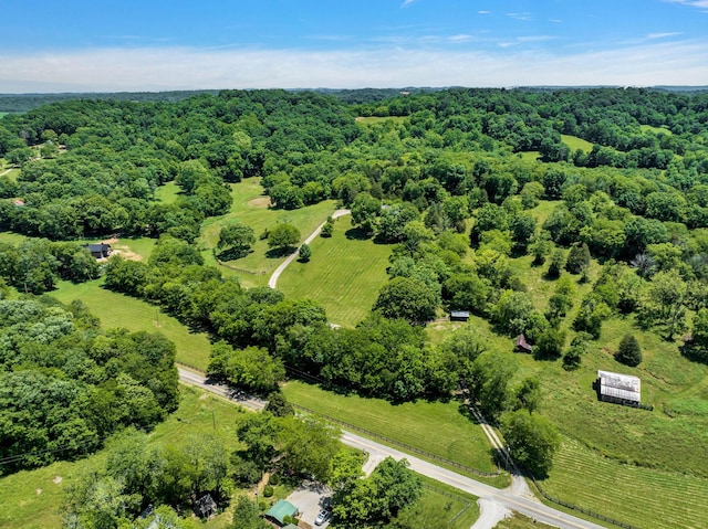 aerial view with a rural view