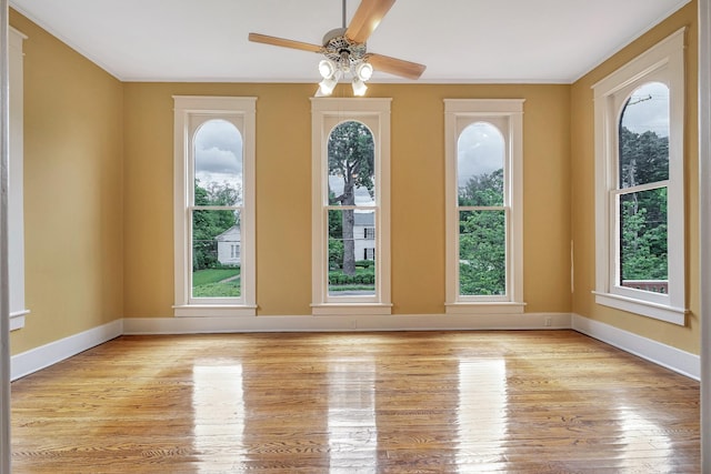 interior space featuring ceiling fan and light wood-type flooring