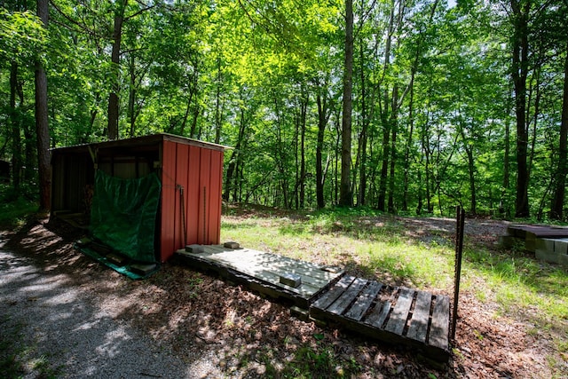 view of yard with a storage unit