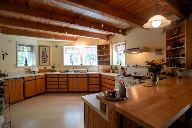 kitchen featuring pendant lighting, wood counters, a healthy amount of sunlight, and wooden ceiling