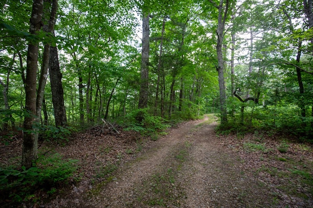 view of road