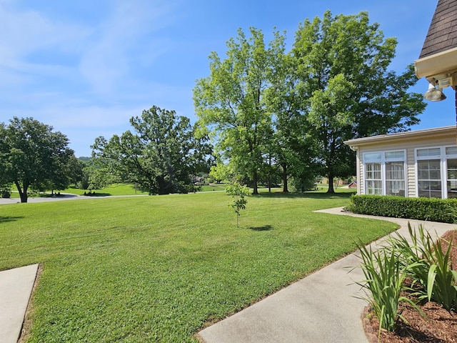 view of yard