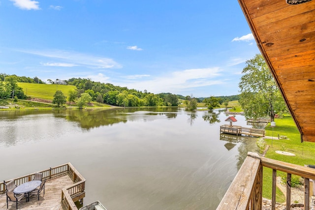 dock area with a water view