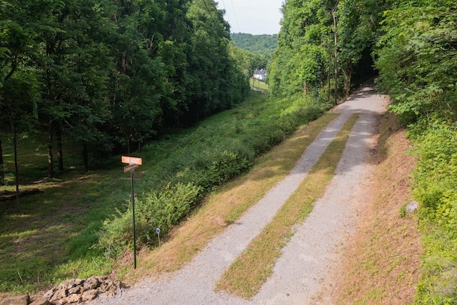 6839 Pulltight Hill Rd, College Grove, TN 37046 - photo 8