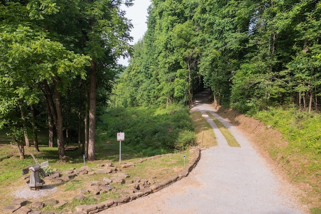 6839 Pulltight Hill Rd, College Grove, TN 37046 - photo 12
