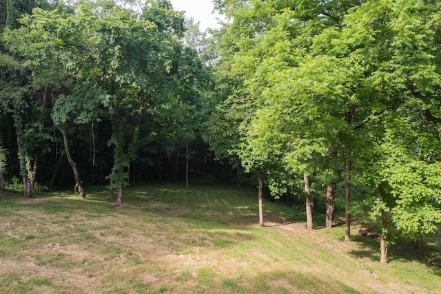 6839 Pulltight Hill Rd, College Grove, TN 37046 - photo 9